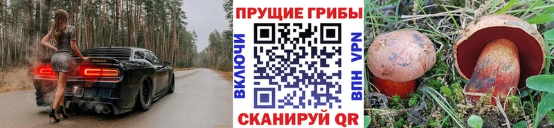 Галлюциногенные грибы Cubensis Егорьевск