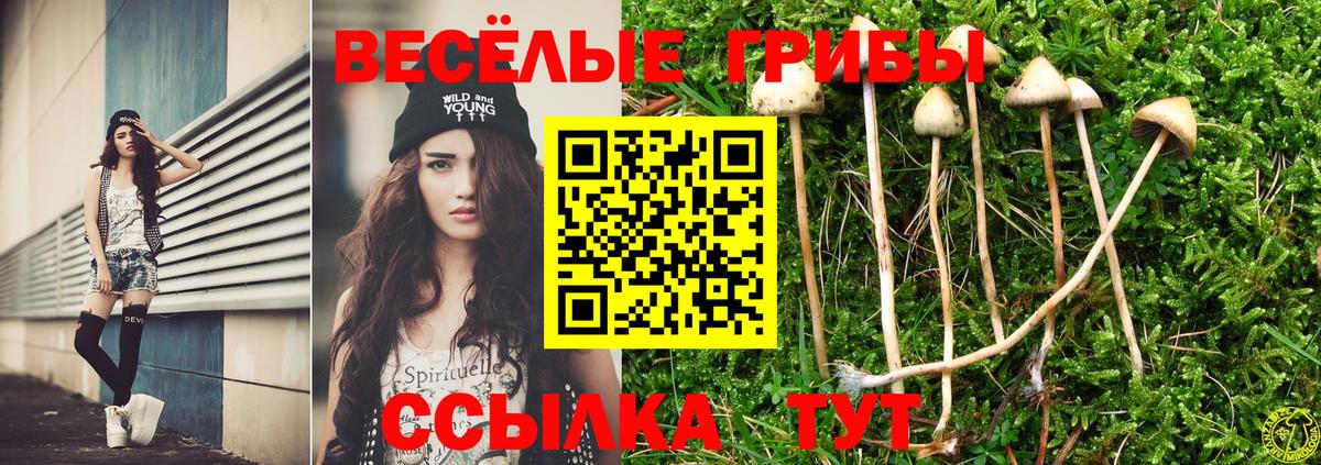 Галлюциногенные грибы Cubensis Егорьевск