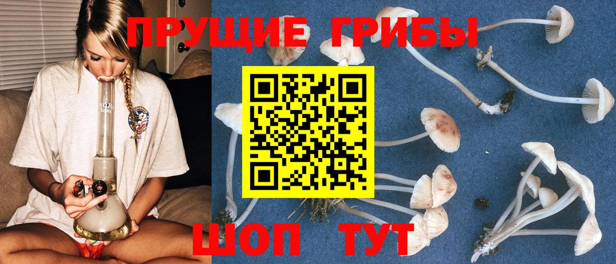 Галлюциногенные грибы прущие грибы  Вход с VPN  Егорьевск 