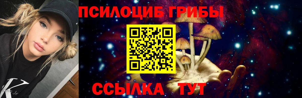 купить  цена  Егорьевск  Галлюциногенные грибы Cubensis  Псилоцибиновые грибы Psilocybe 